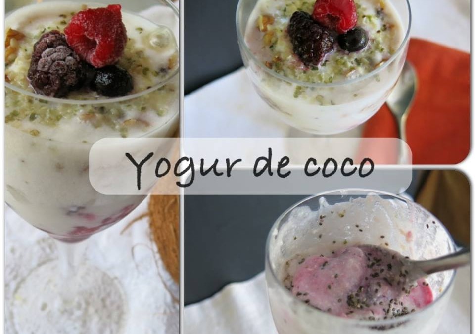 Yogur de coco