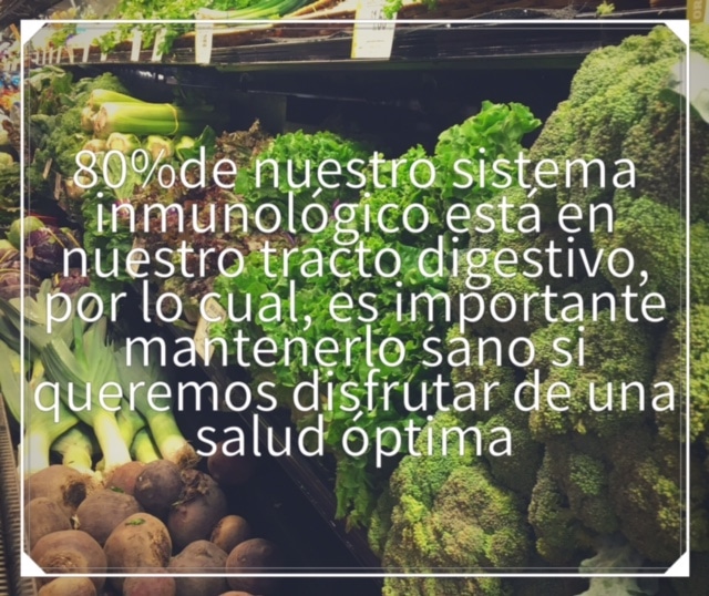 Los beneficios de los prebióticos y los probióticos
